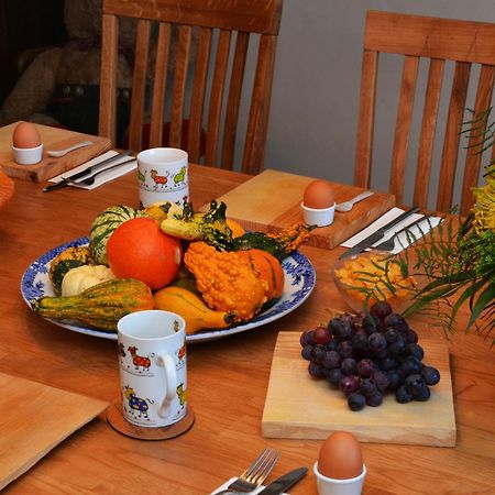 Alte Post Mit Geschichte Und Restaurant Apartment Tavanasa Екстериор снимка